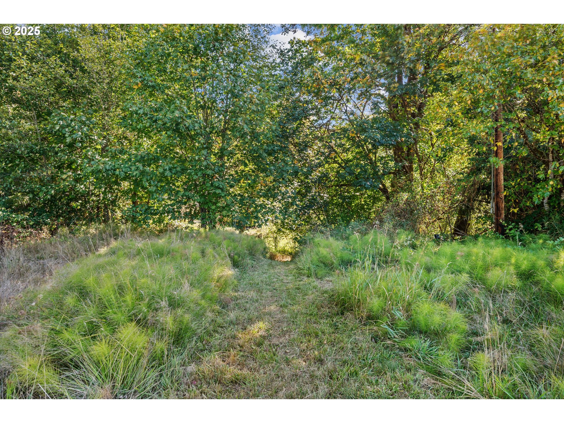 64086 NEHALEM HWY