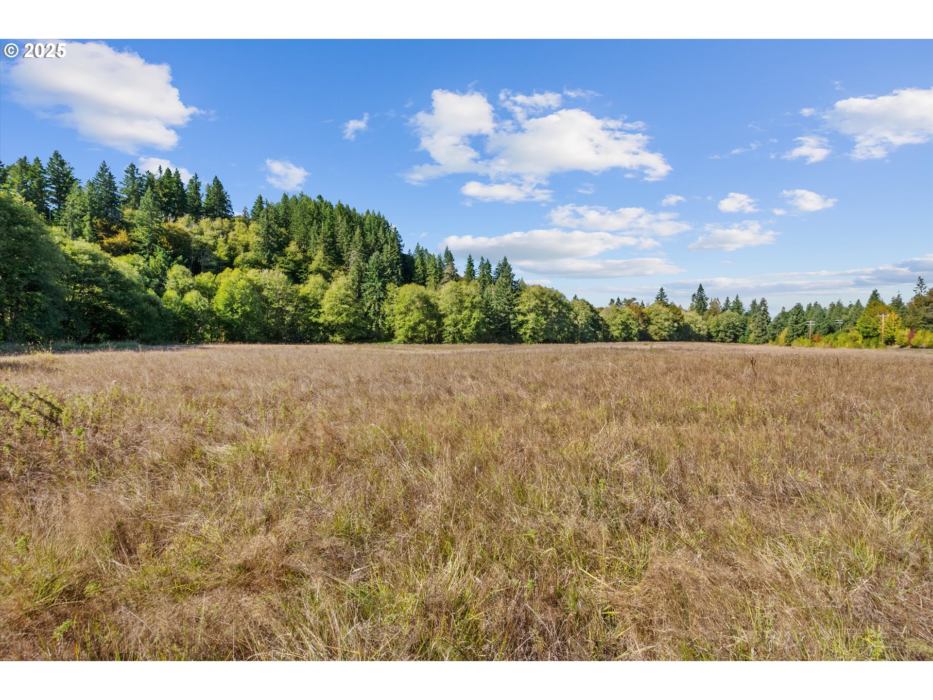 64086 NEHALEM HWY