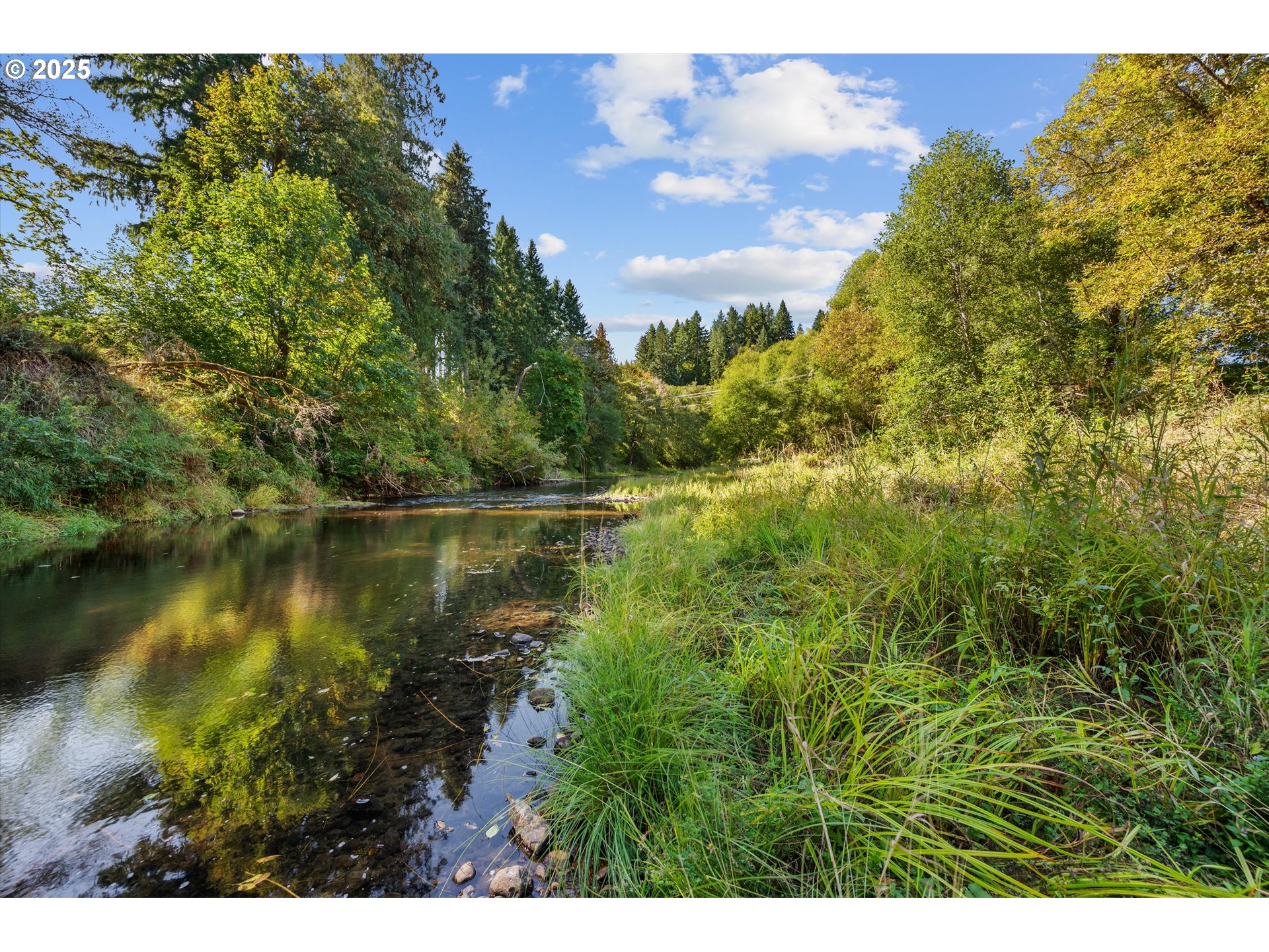 64086 NEHALEM HWY