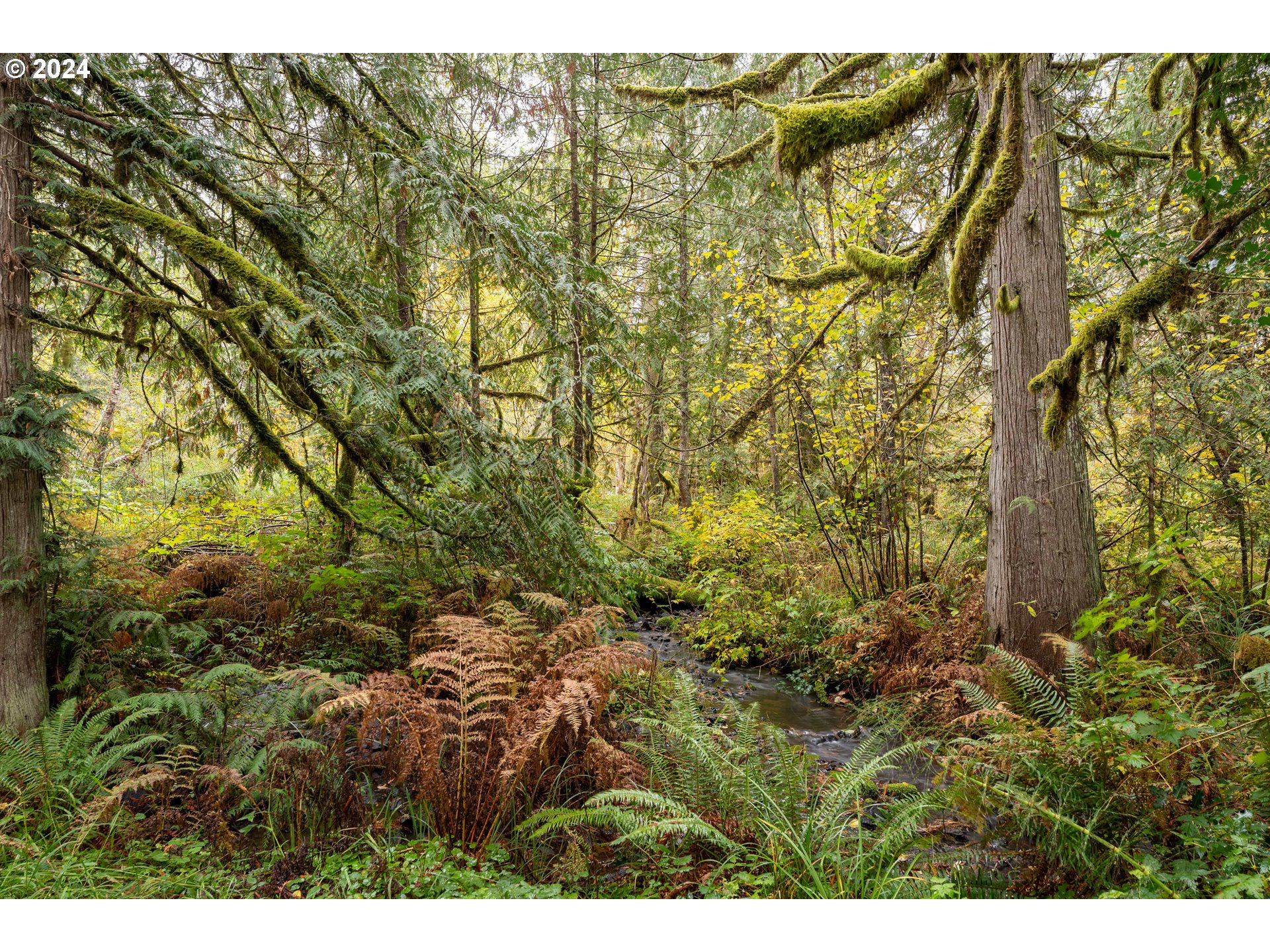 30806 S Grays Hill RD