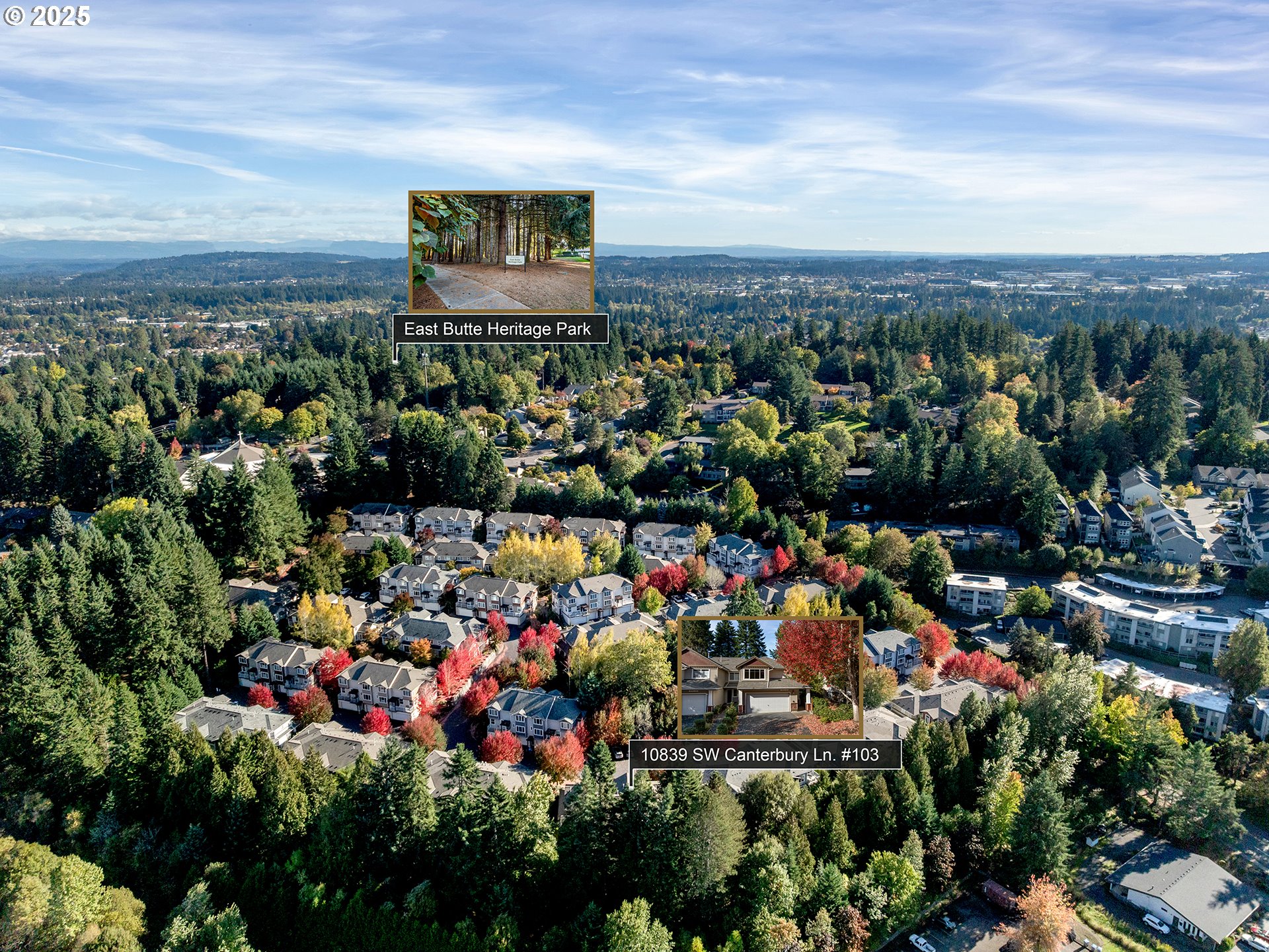 10839 SW CANTERBURY LN 103