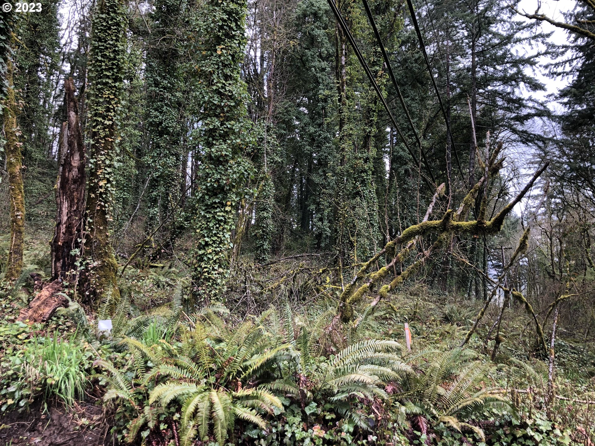 19088 BARTON RD