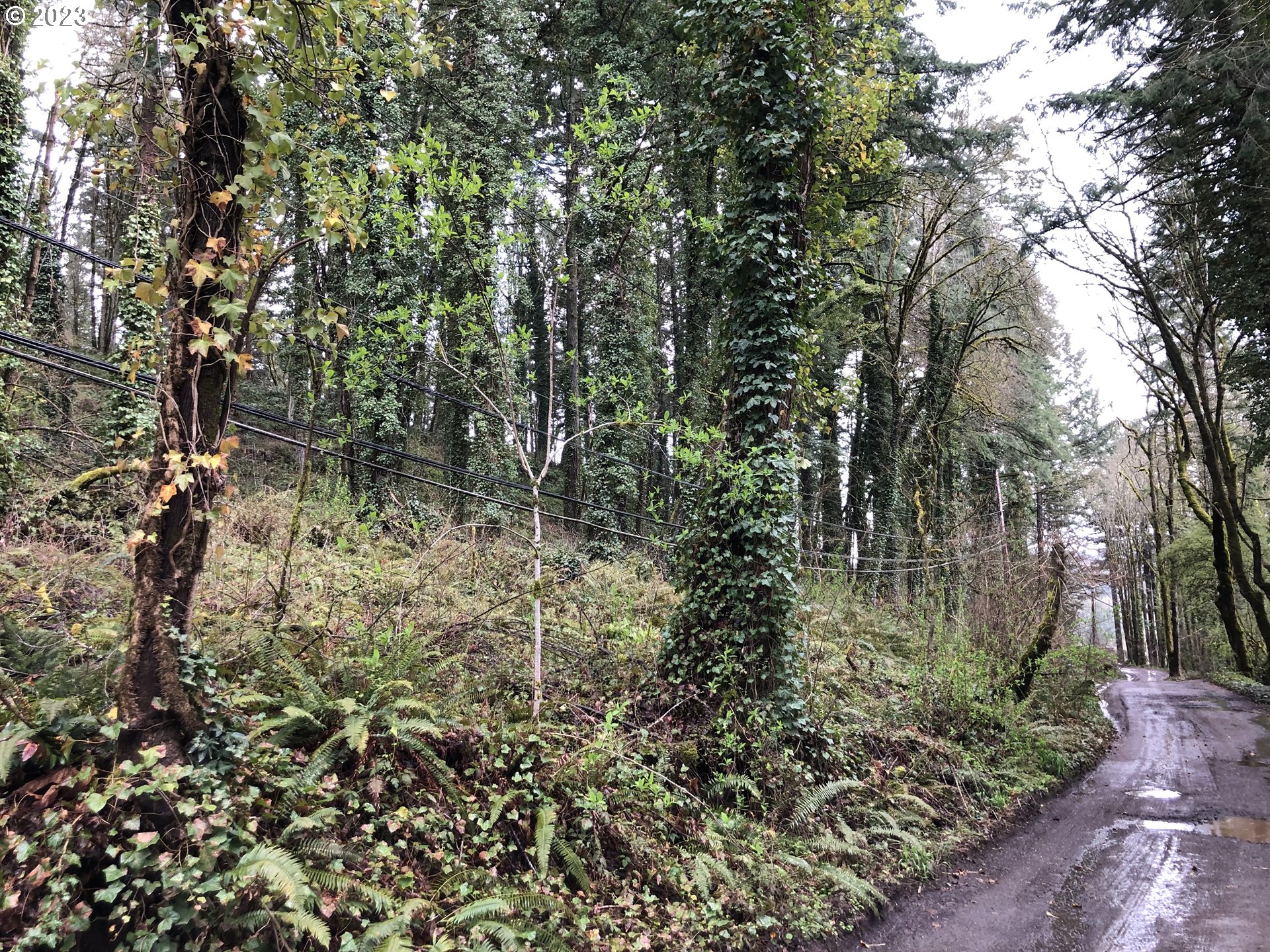 19088 BARTON RD