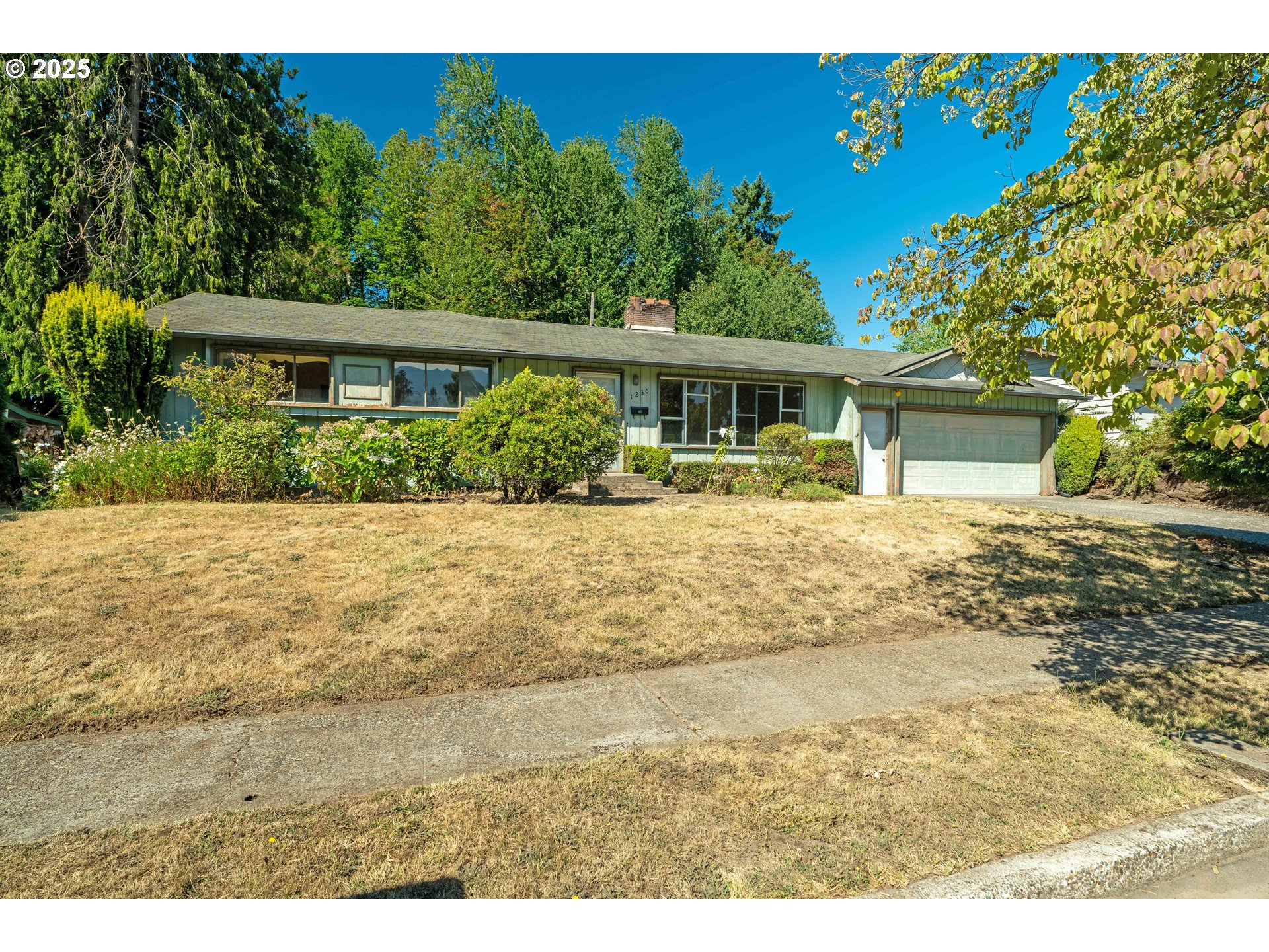 1230 WINDSOR DR