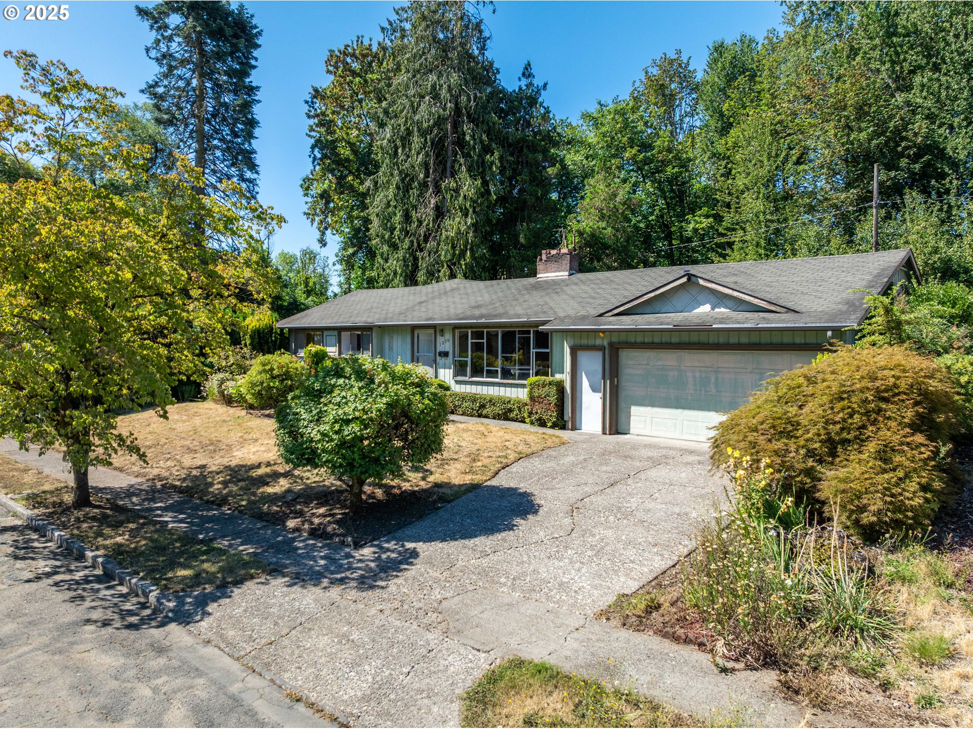 1230 WINDSOR DR