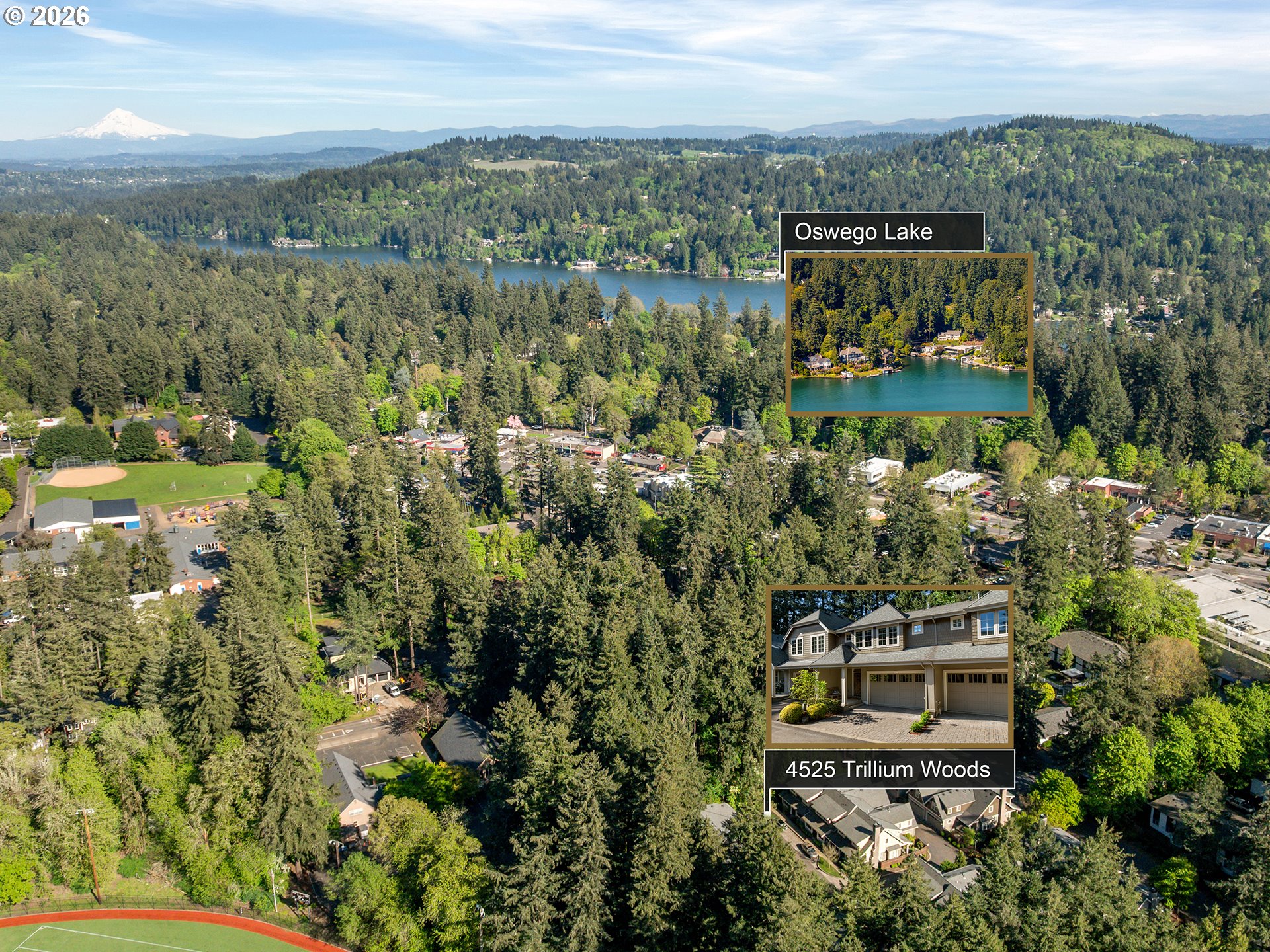4525 TRILLIUM WOODS