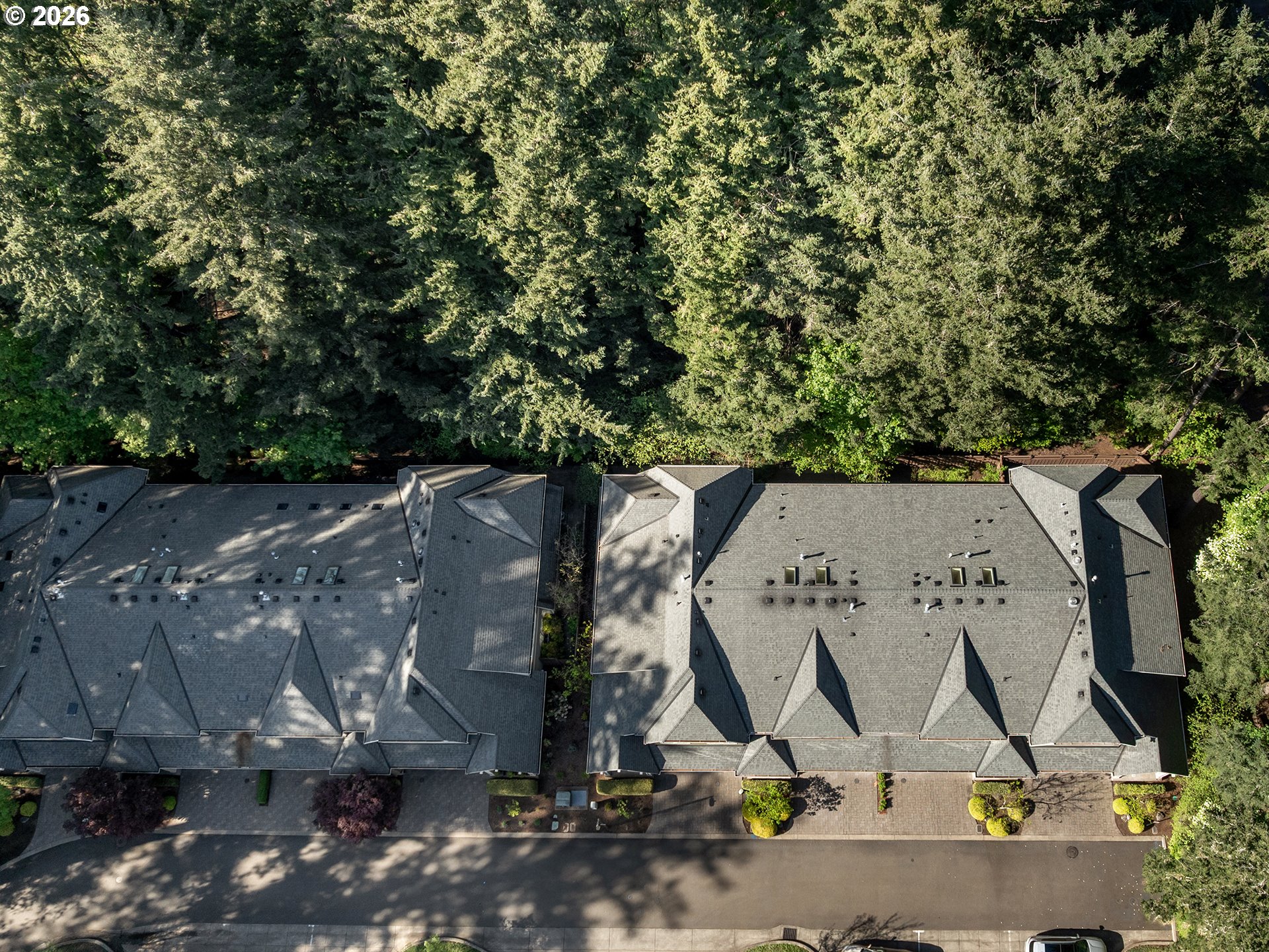 4525 TRILLIUM WOODS