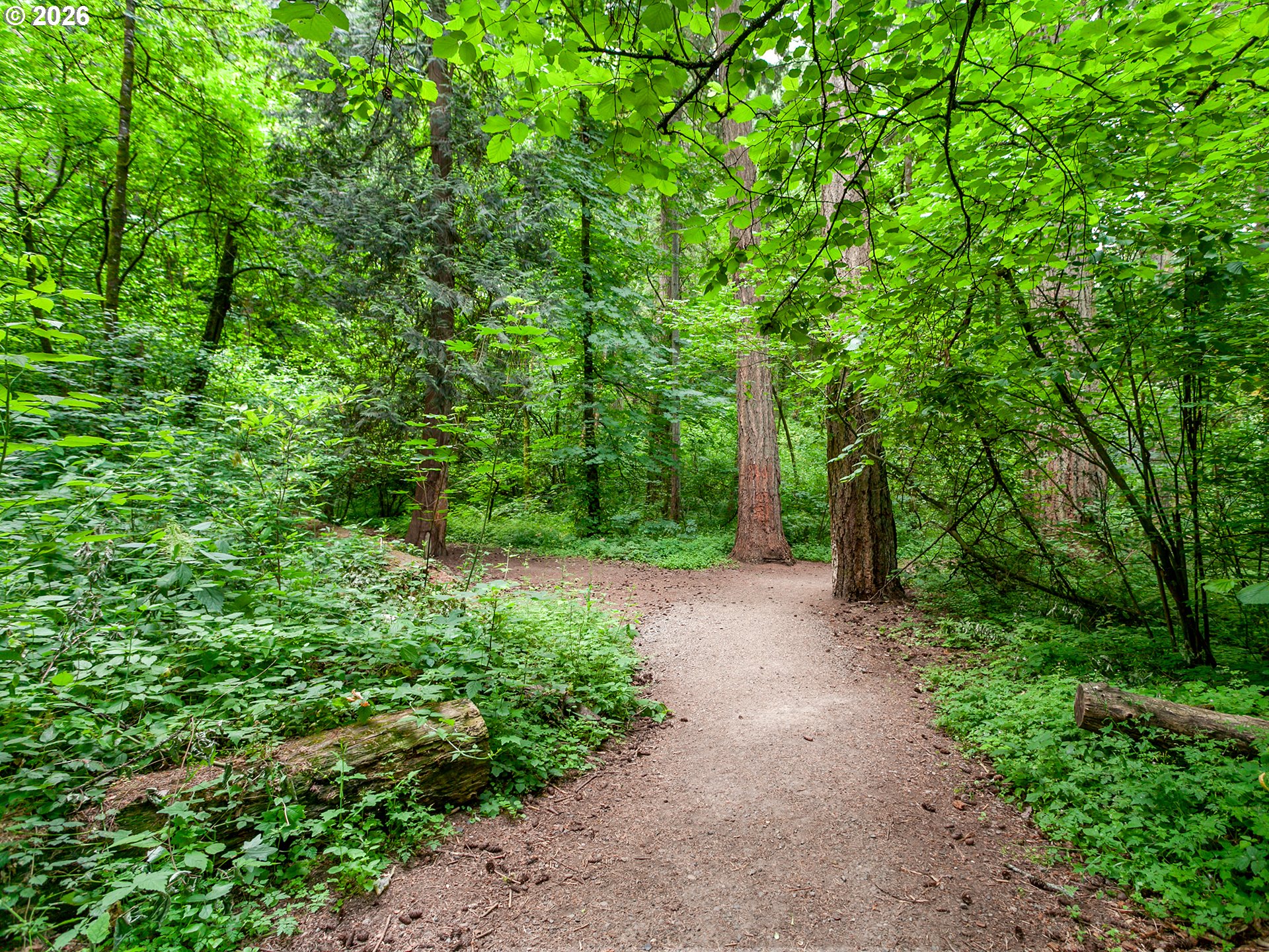 4525 TRILLIUM WOODS