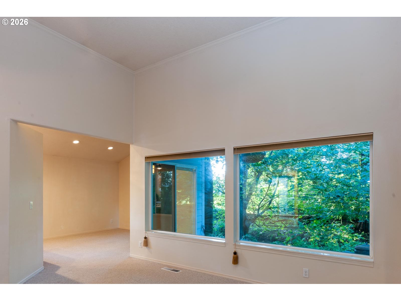 525 MILL STREAM WOODS