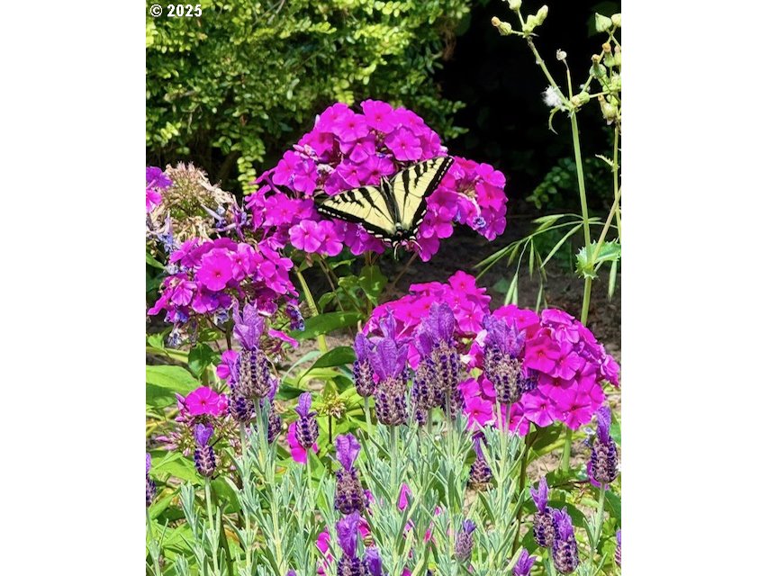 17657 SE SCRUTTON LN