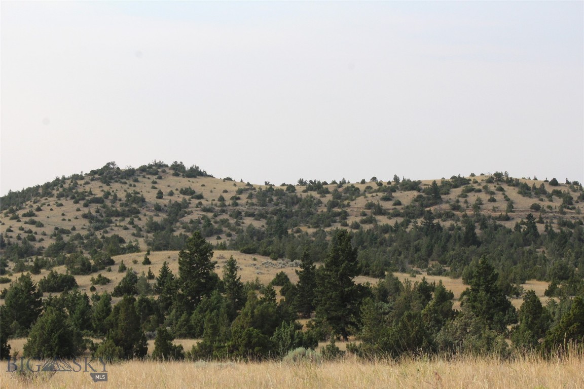 TBD Gold Bar Lode