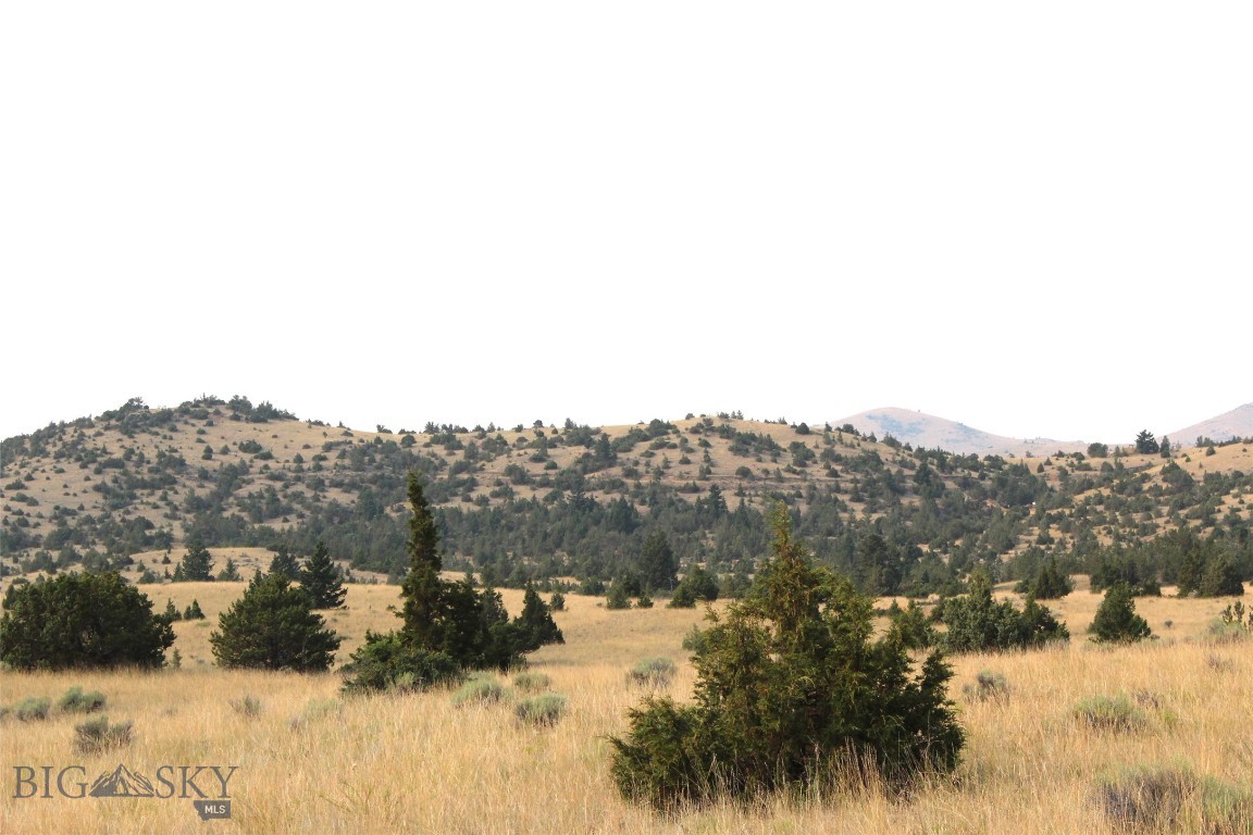 TBD Gold Bar Lode