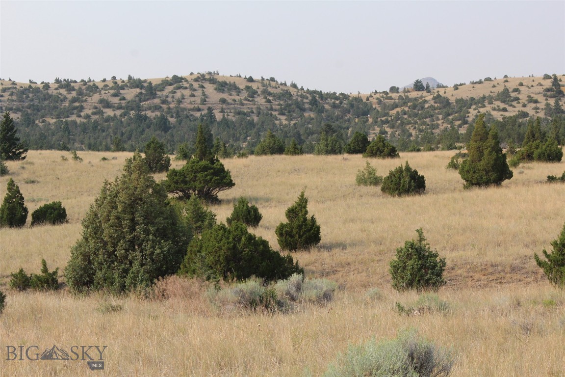 TBD Gold Bar Lode