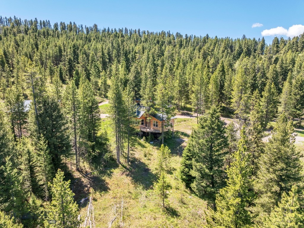 601 Forest Hills Road