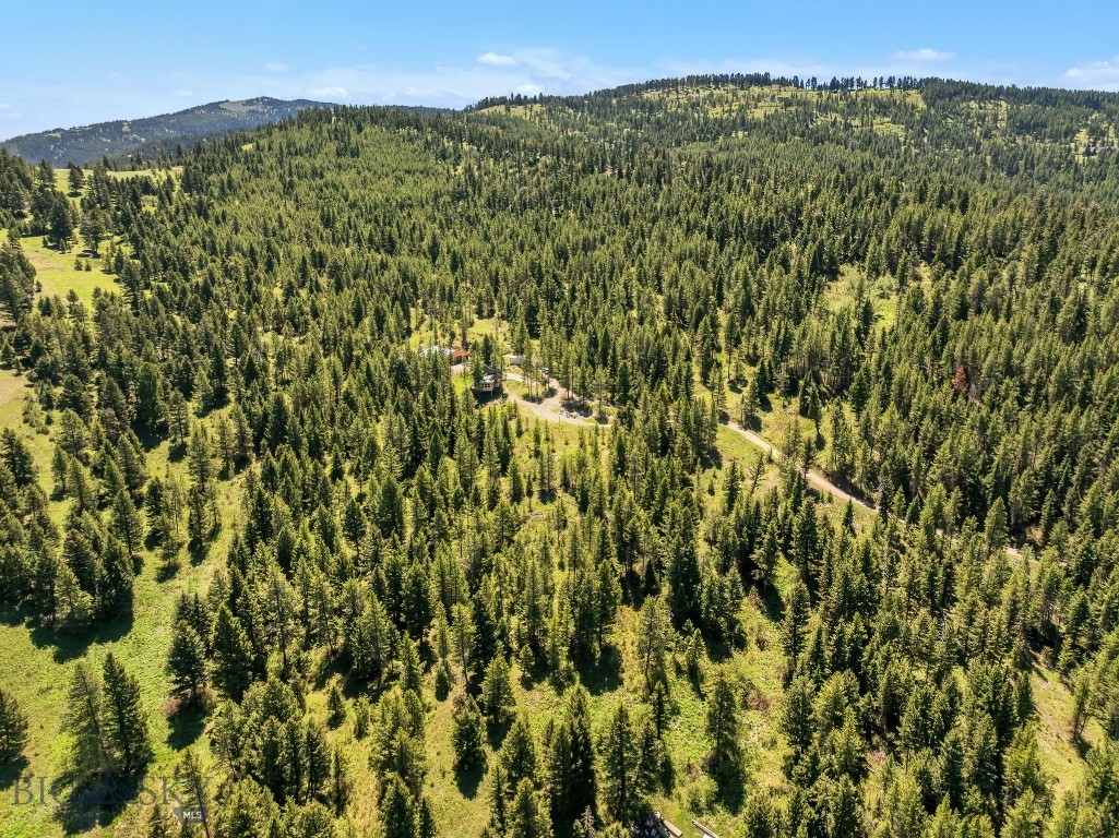 601 Forest Hills Road