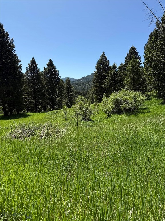 14815 Pony Creek