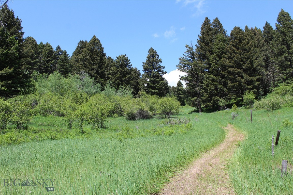 14815 Pony Creek