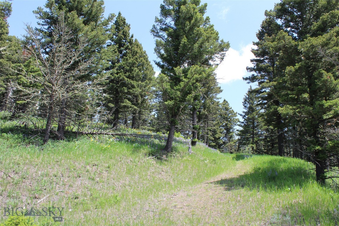 14815 Pony Creek