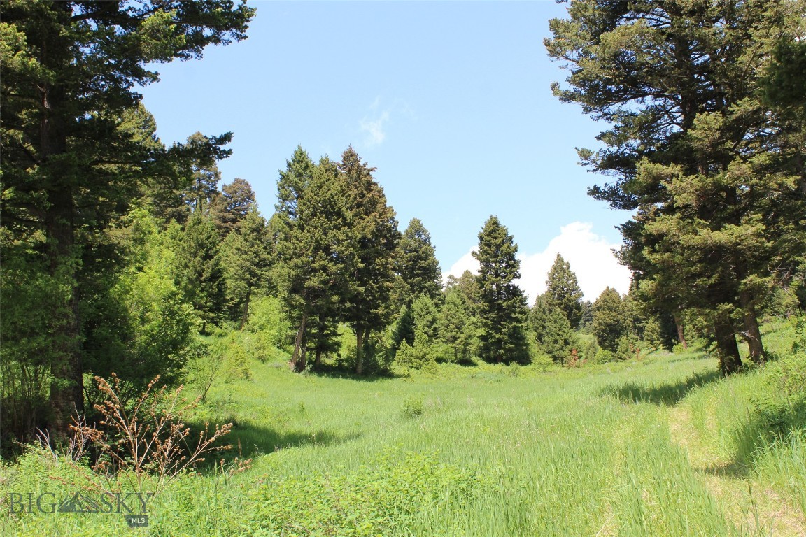 14815 Pony Creek