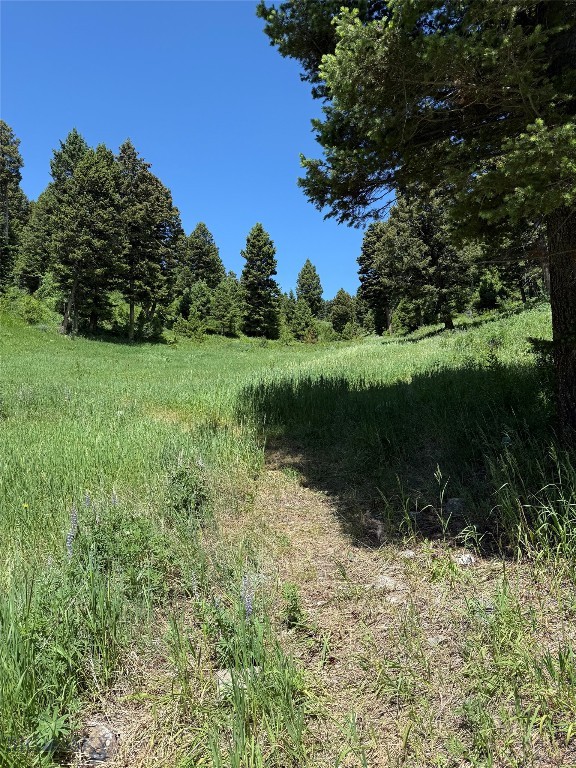 14815 Pony Creek