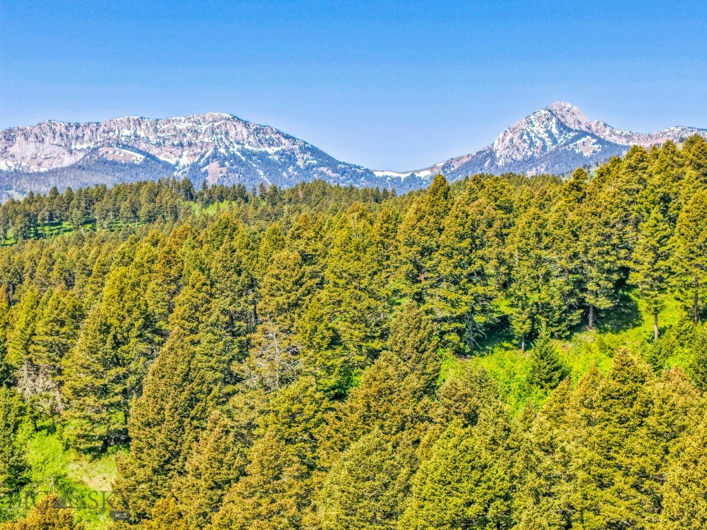 14815 Pony Creek