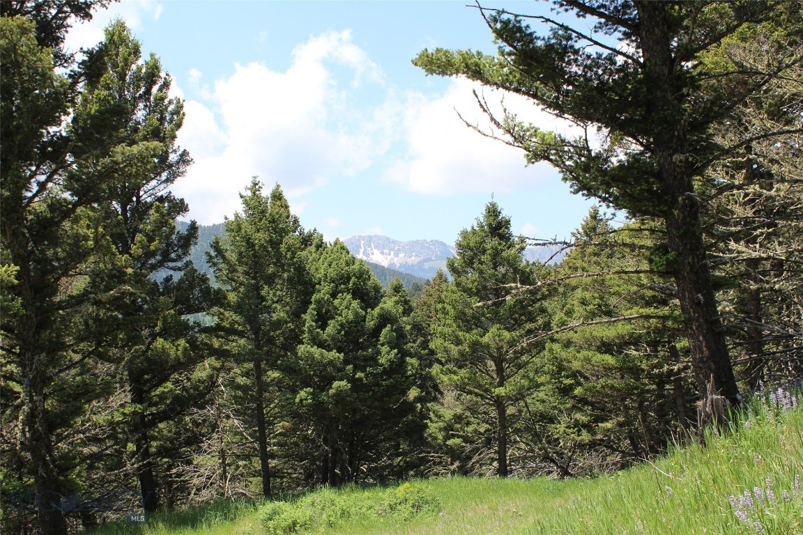 14815 Pony Creek