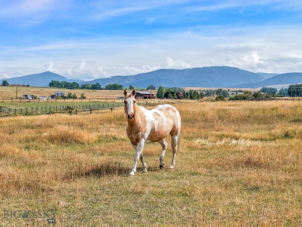 11400 Gooch Hill Road