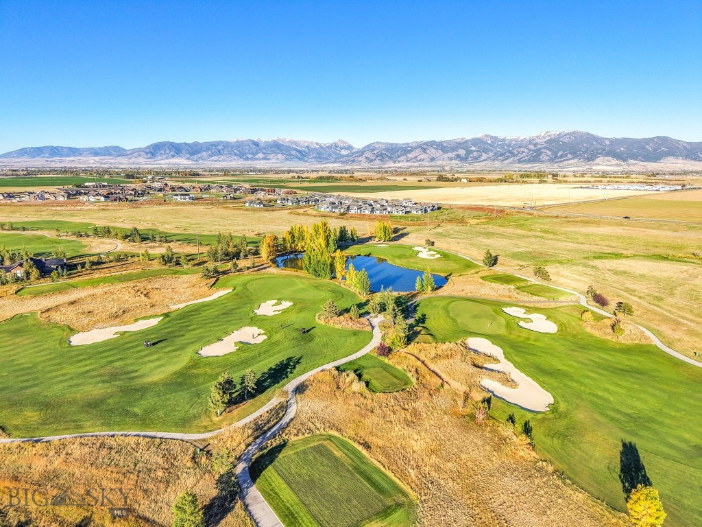 103 Bold Driver Drive