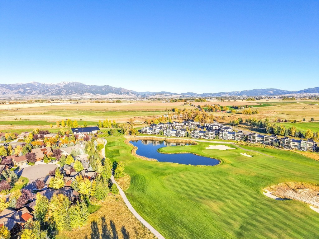 103 Bold Driver Drive