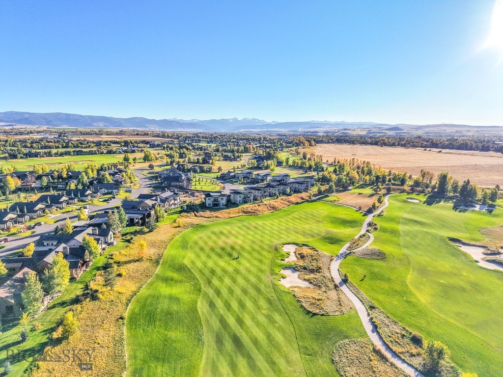 103 Bold Driver Drive