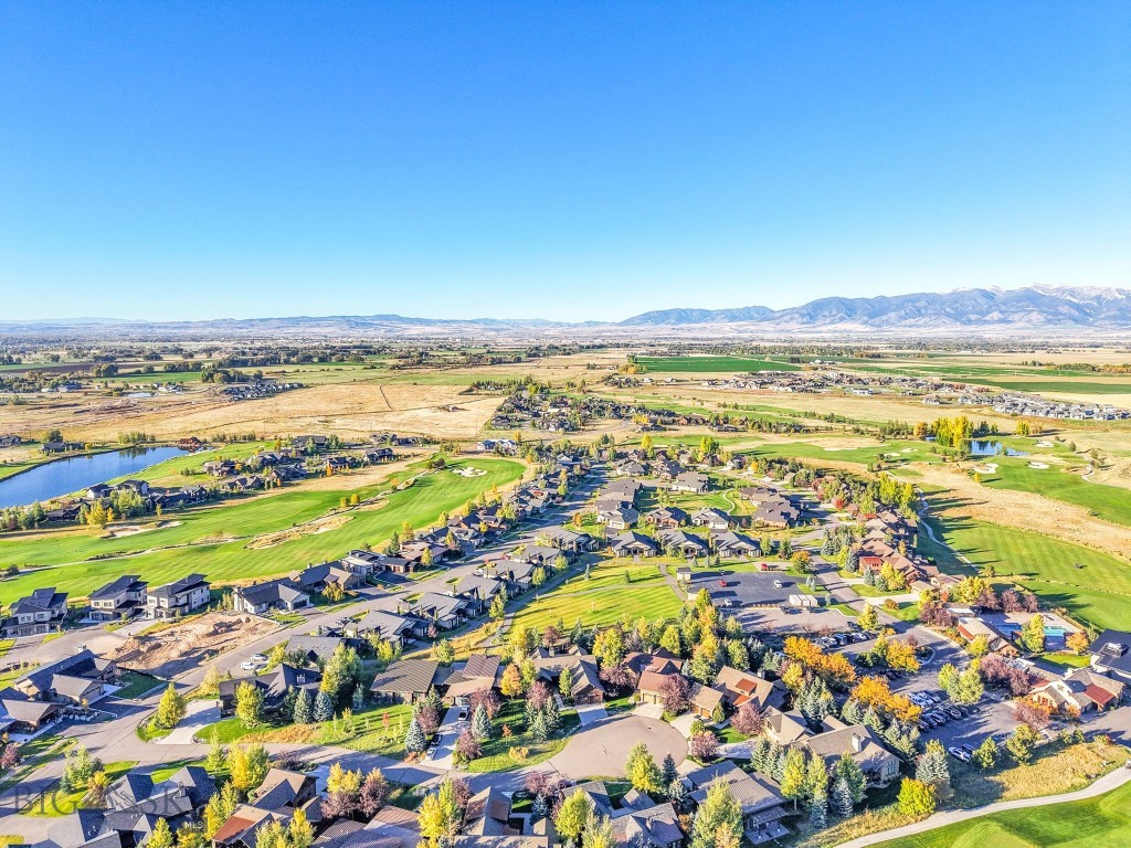 103 Bold Driver Drive