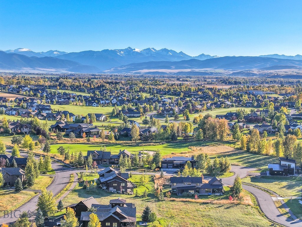 103 Bold Driver Drive