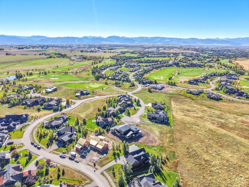 103 Bold Driver Drive