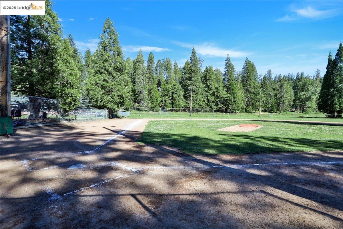 22479 Ponderosa Rd