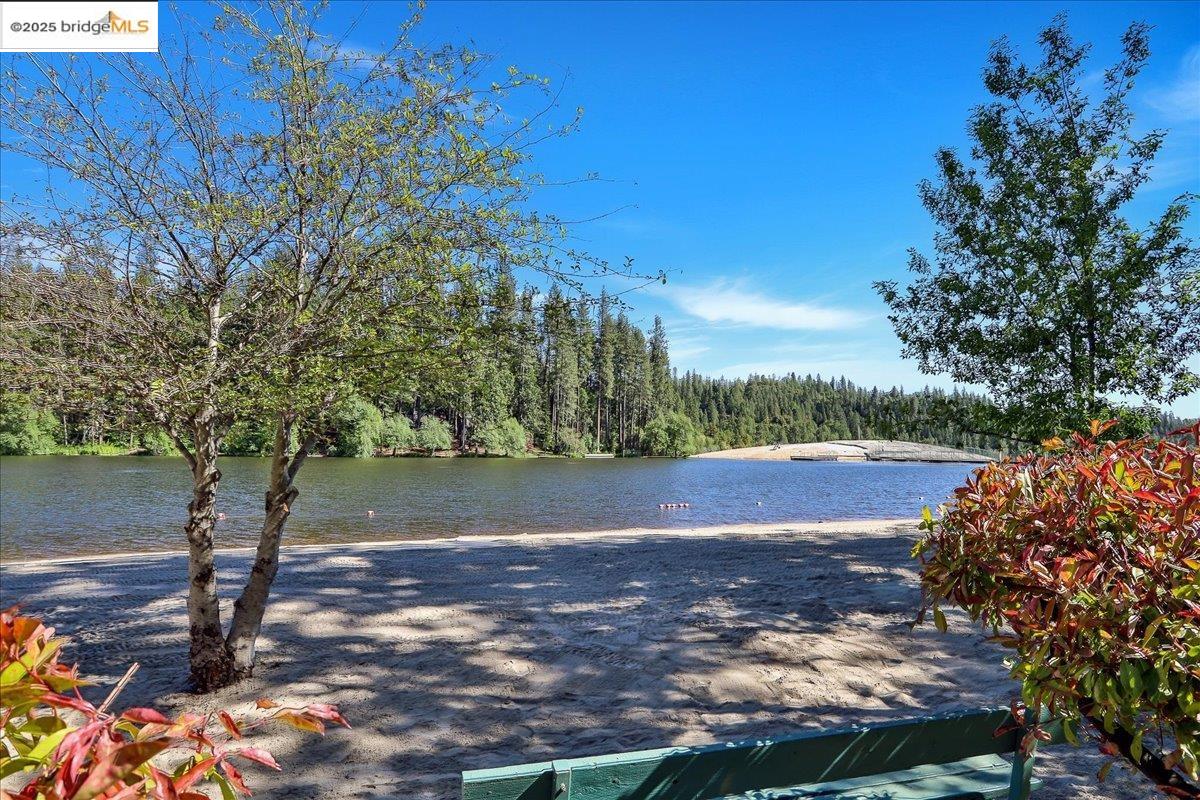22479 Ponderosa Rd