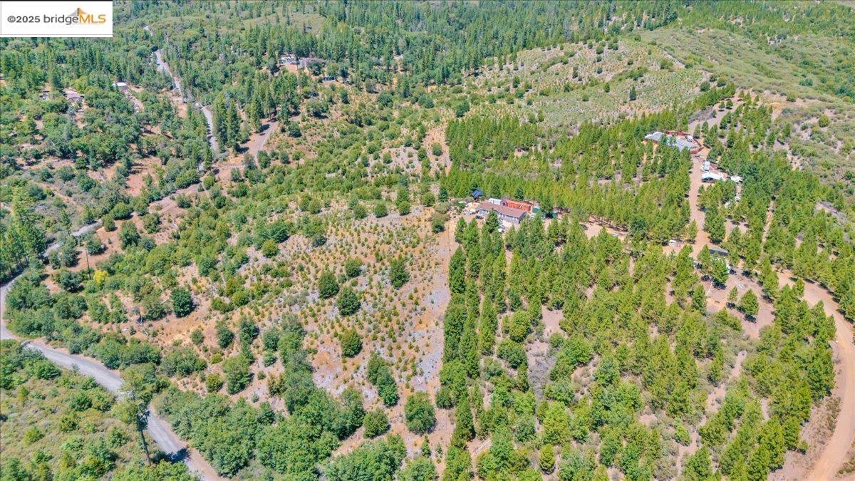 9935 Jackass Creek Rd