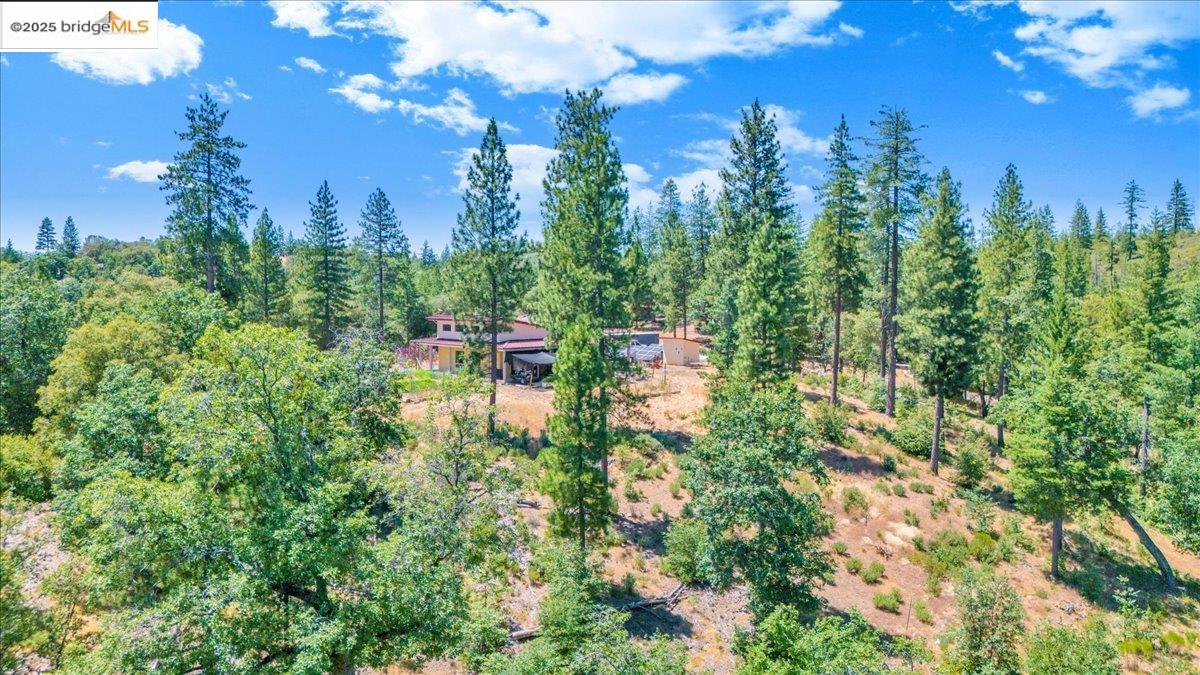9935 Jackass Creek Rd