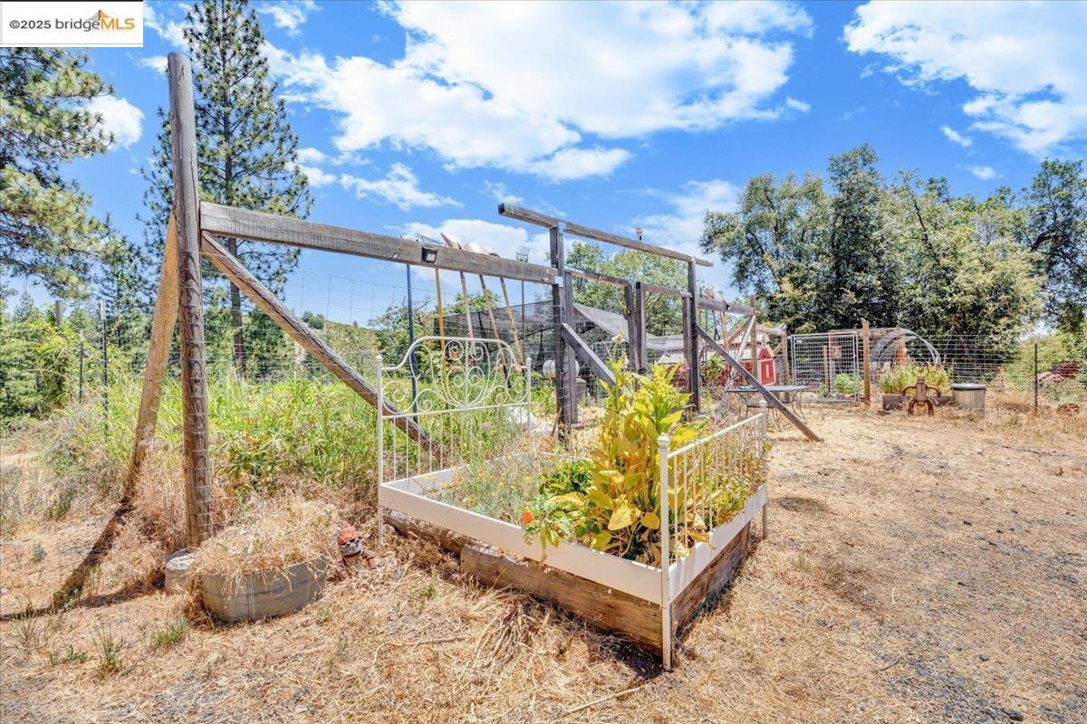 9935 Jackass Creek Rd