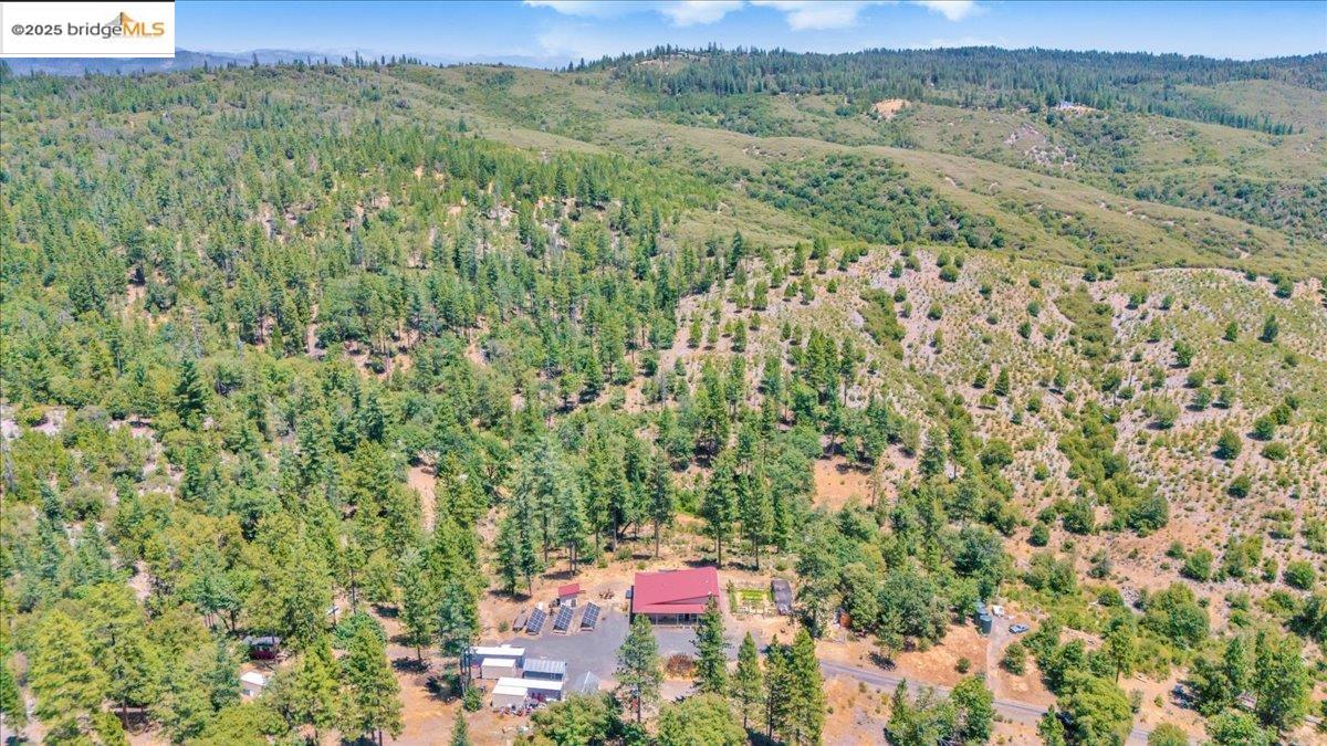 9935 Jackass Creek Rd