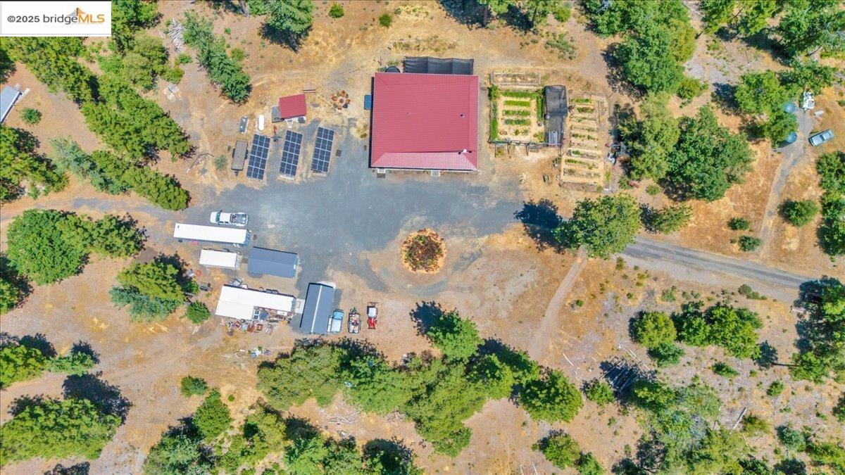 9935 Jackass creek Rd