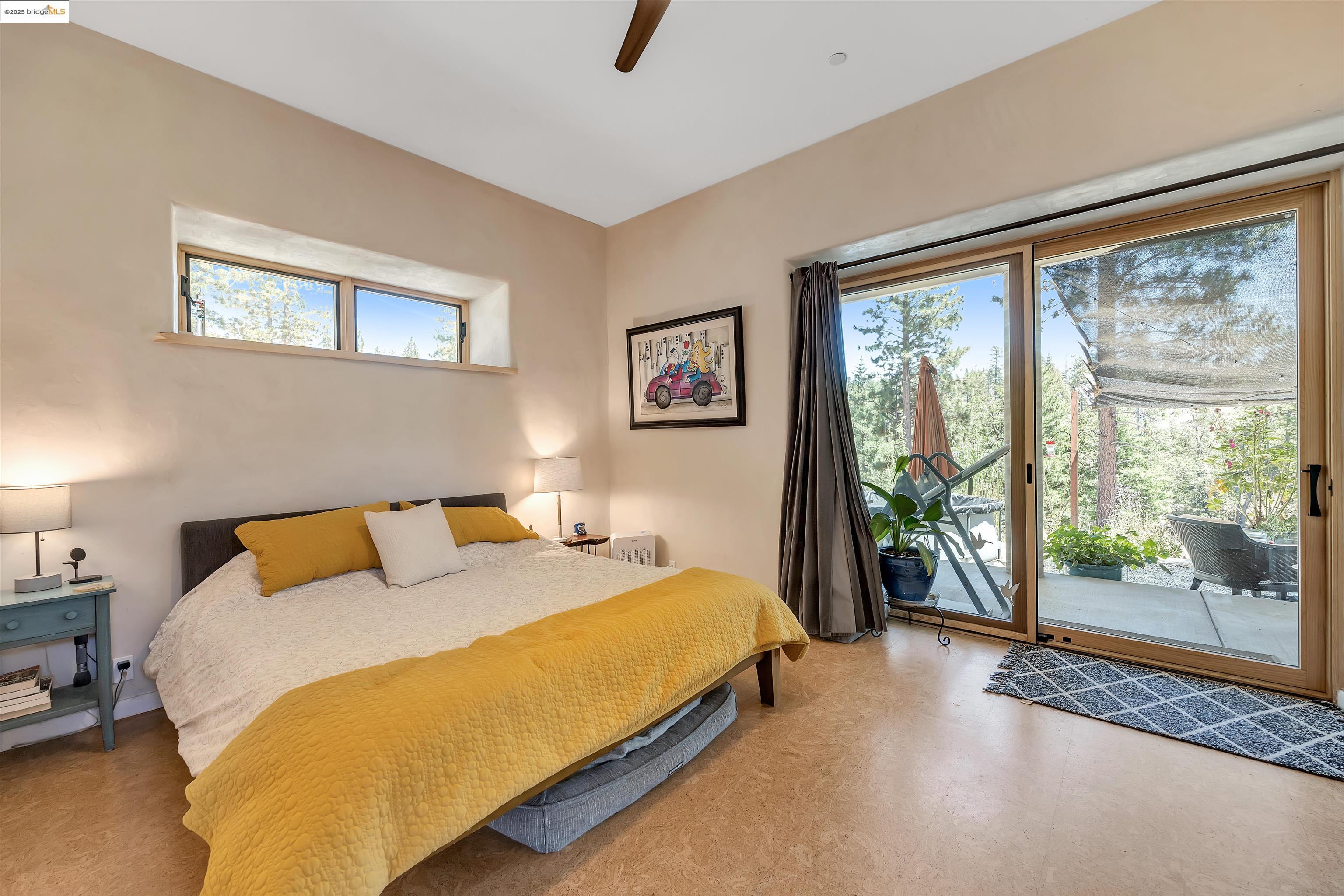 9935 Jackass creek Rd