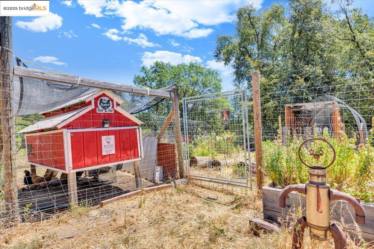 9935 Jackass creek Rd