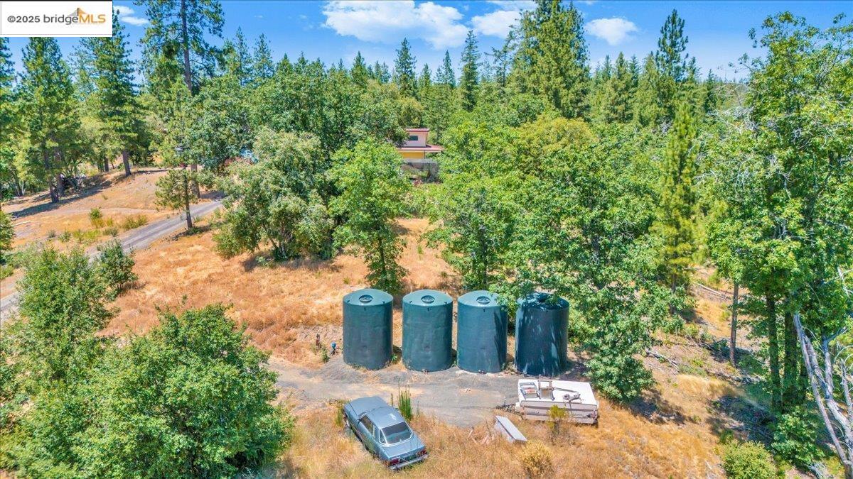 9935 Jackass creek Rd