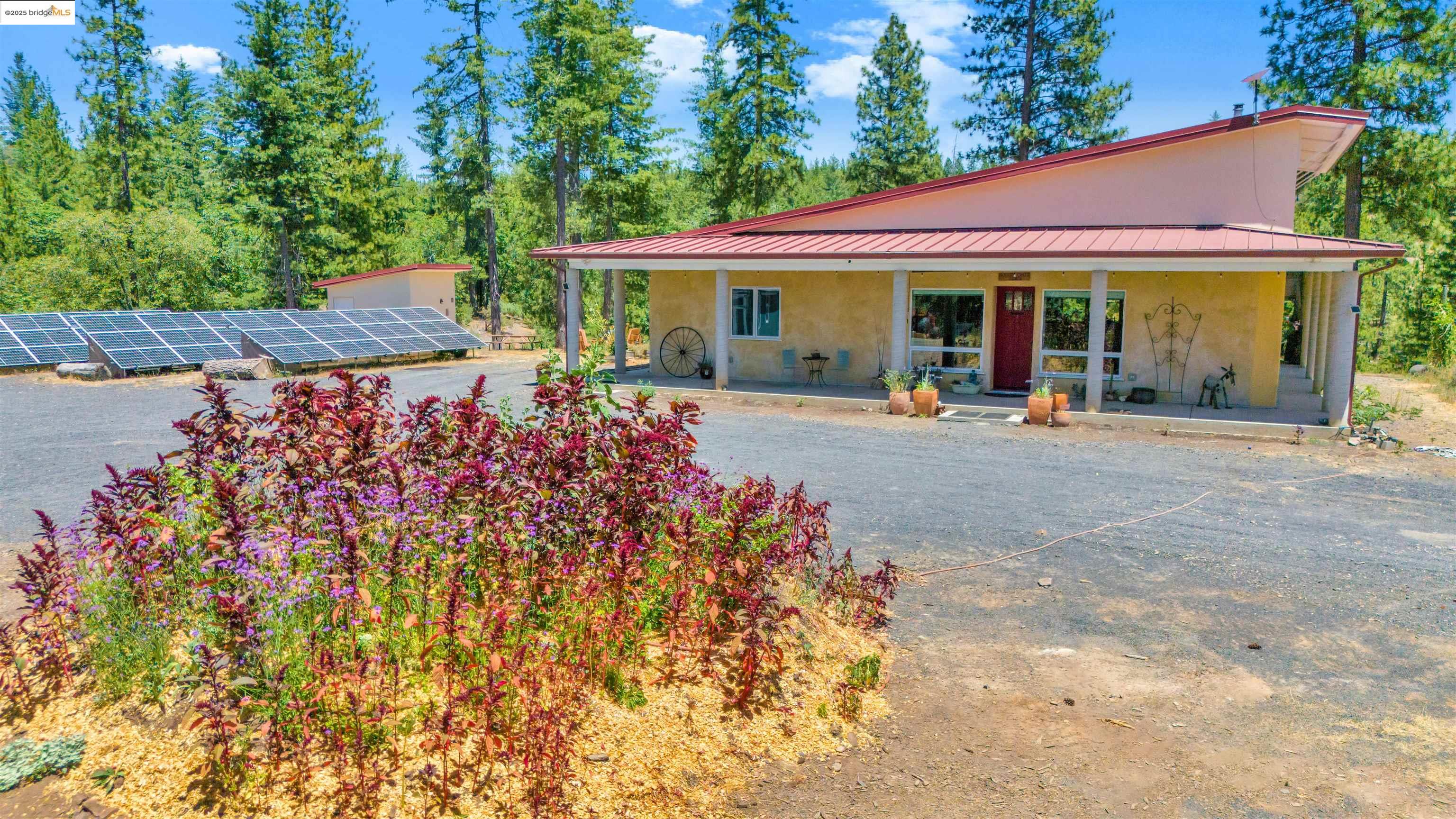 9935 Jackass creek Rd