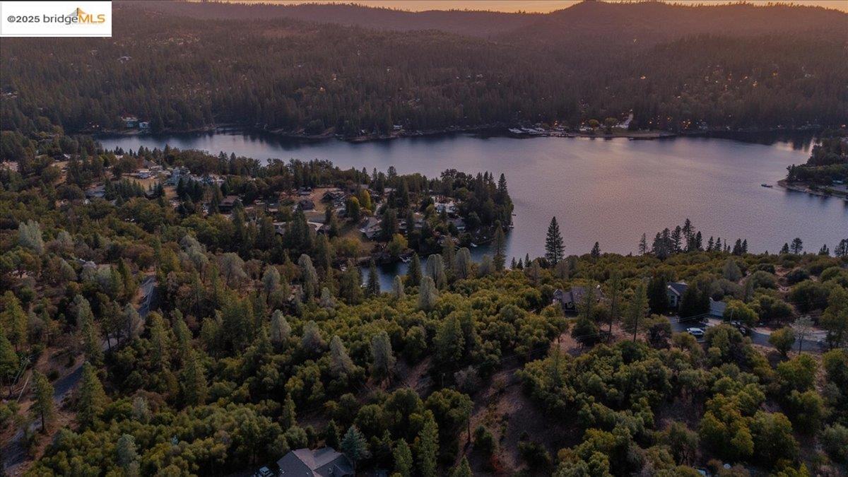 20275 Ferret Ct, Groveland