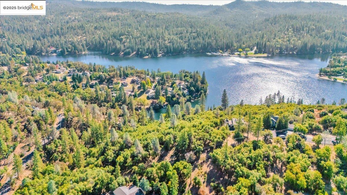 20275 Ferret Ct, Groveland