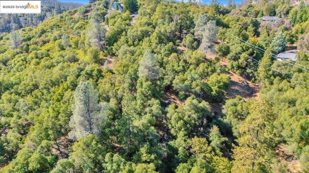 20275 Ferret Ct, Groveland