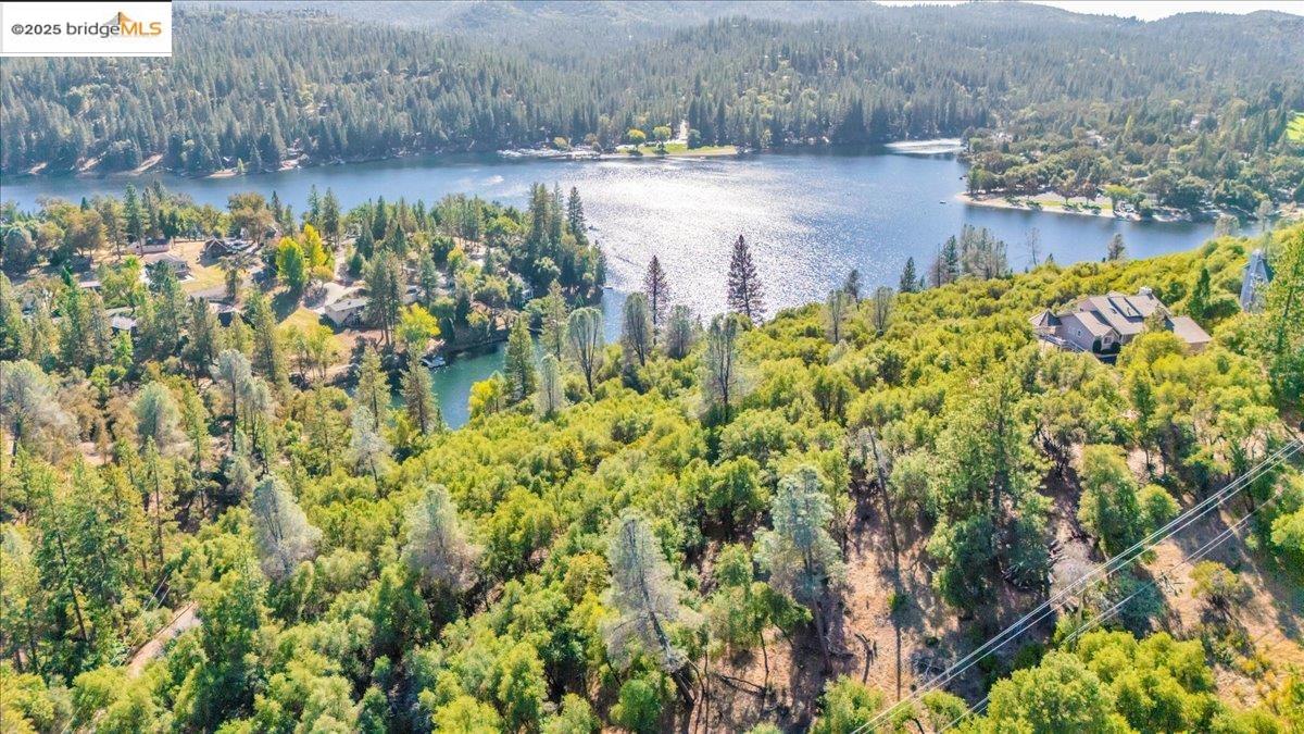 20275 Ferret Ct, Groveland