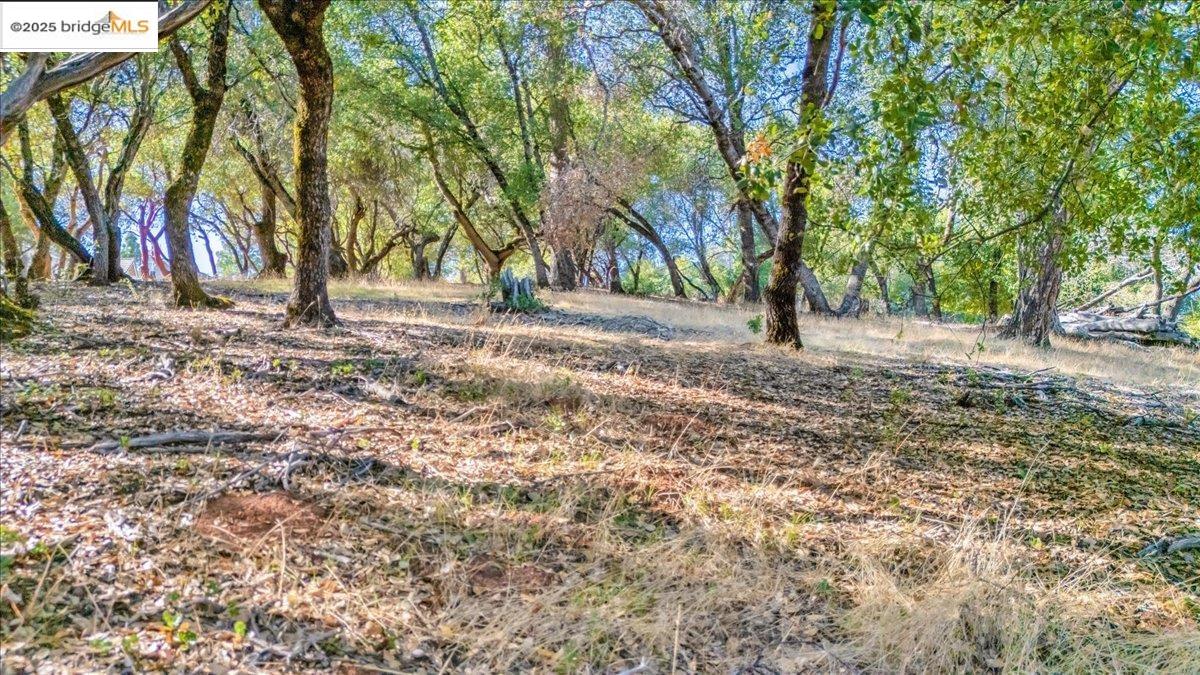 20275 Ferret Ct, Groveland