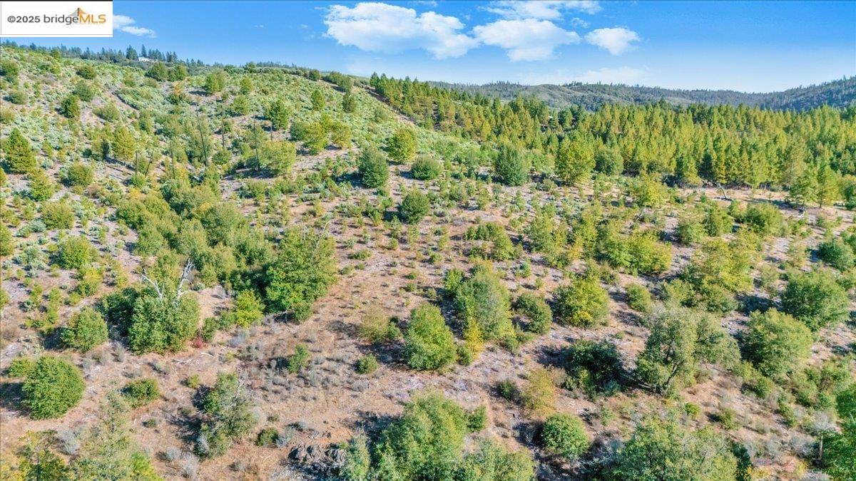 0000 Jackass Creek Rd, Groveland